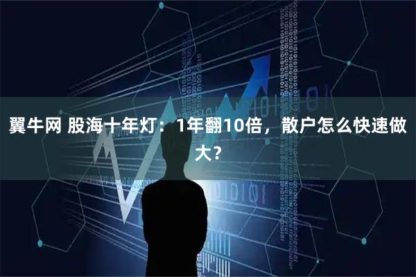 翼牛网 股海十年灯：1年翻10倍，散户怎么快速做大？